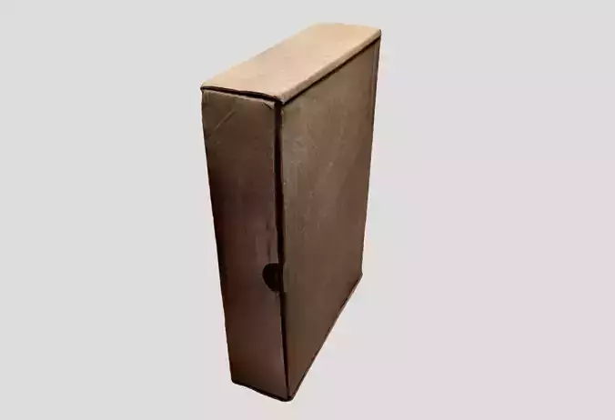 A flat cardboard box 3D model