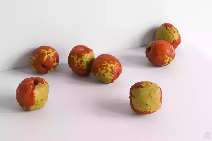 Jujube 3D model