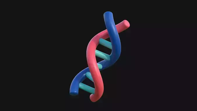 DNA Low-poly 3D Model strand Low-poly 3D model