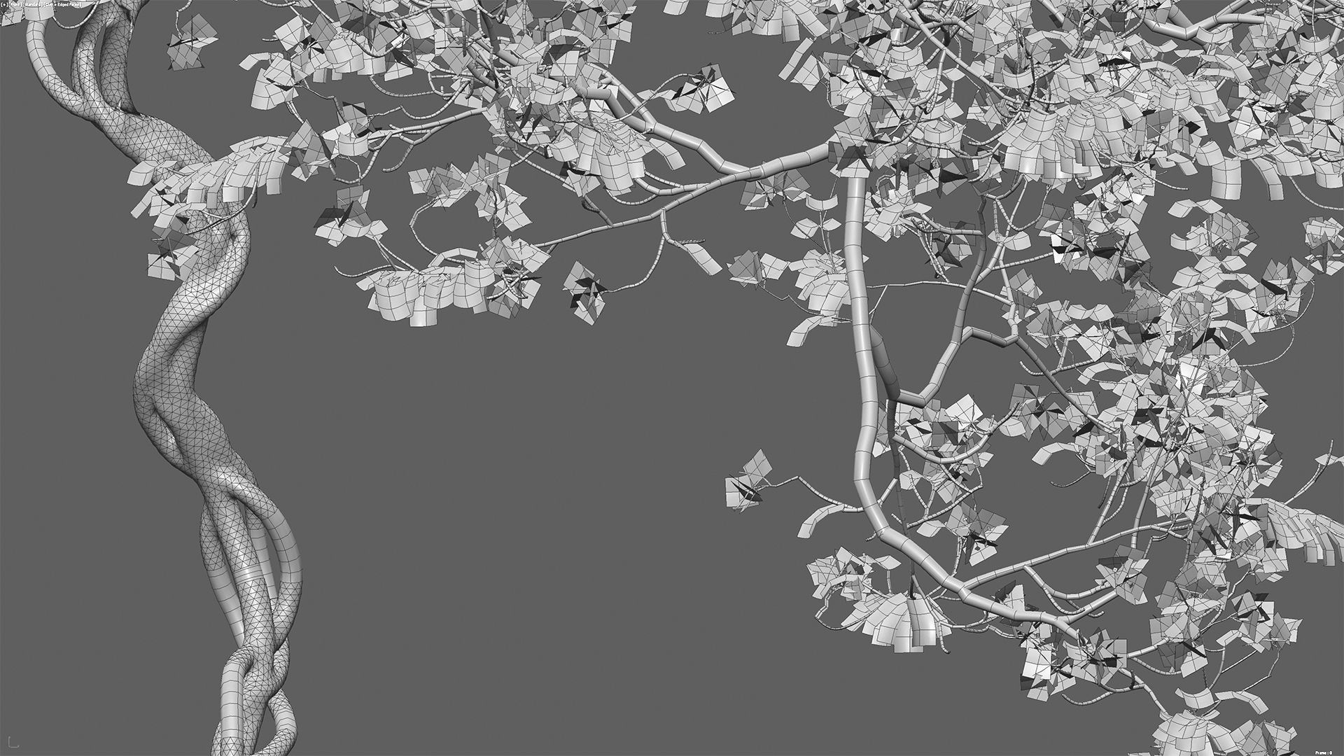 Bougainvillea 14 3D model_6