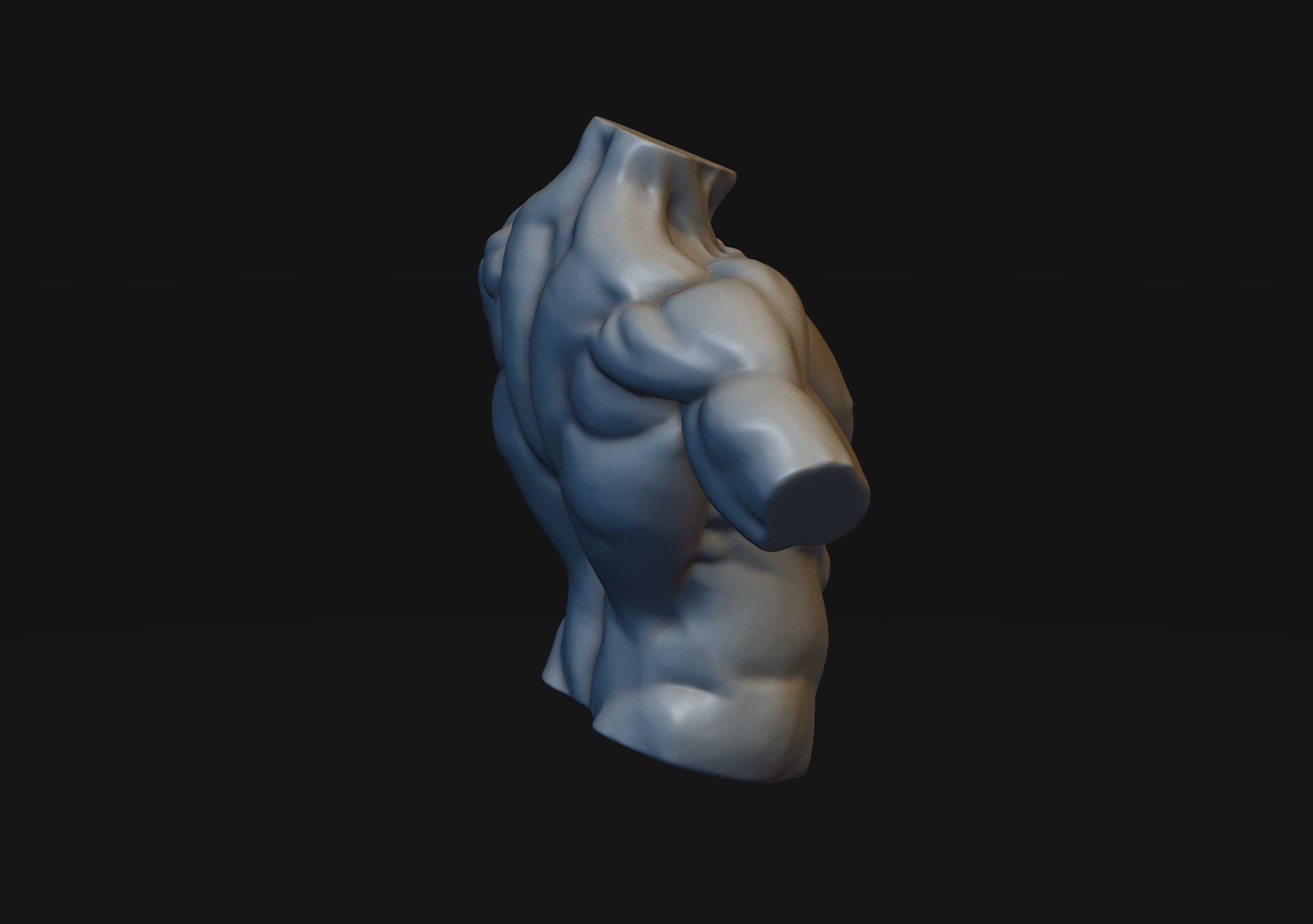 Male Torso 3D model 3D printable | CGTrader