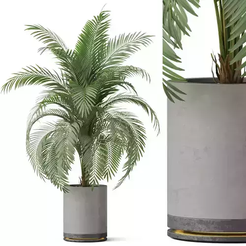 Plants collection 870