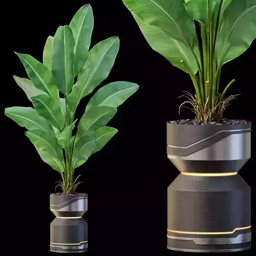 Plants collection 875