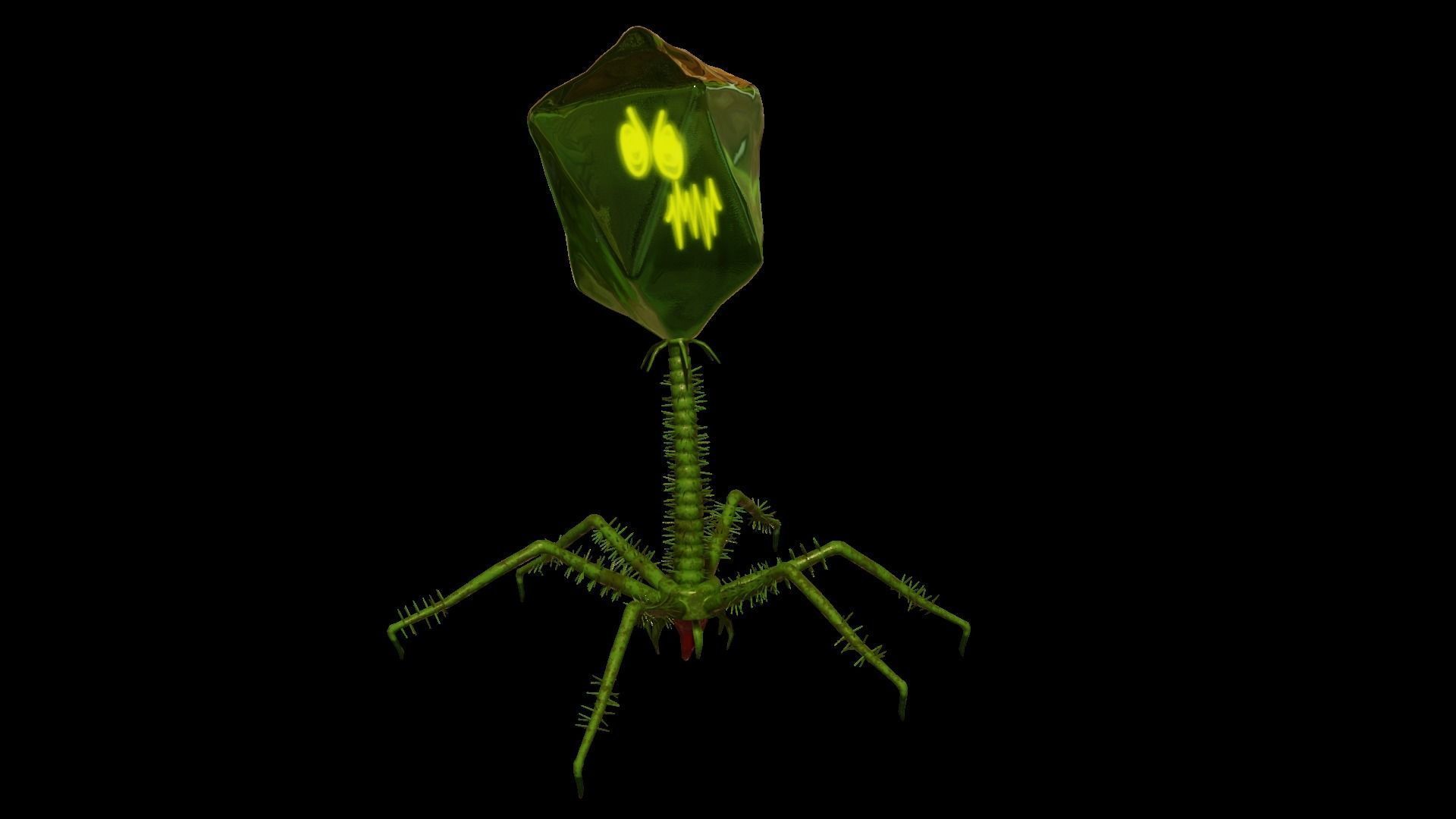 microbe 3 - bacteriophage Low-poly 3D model_5