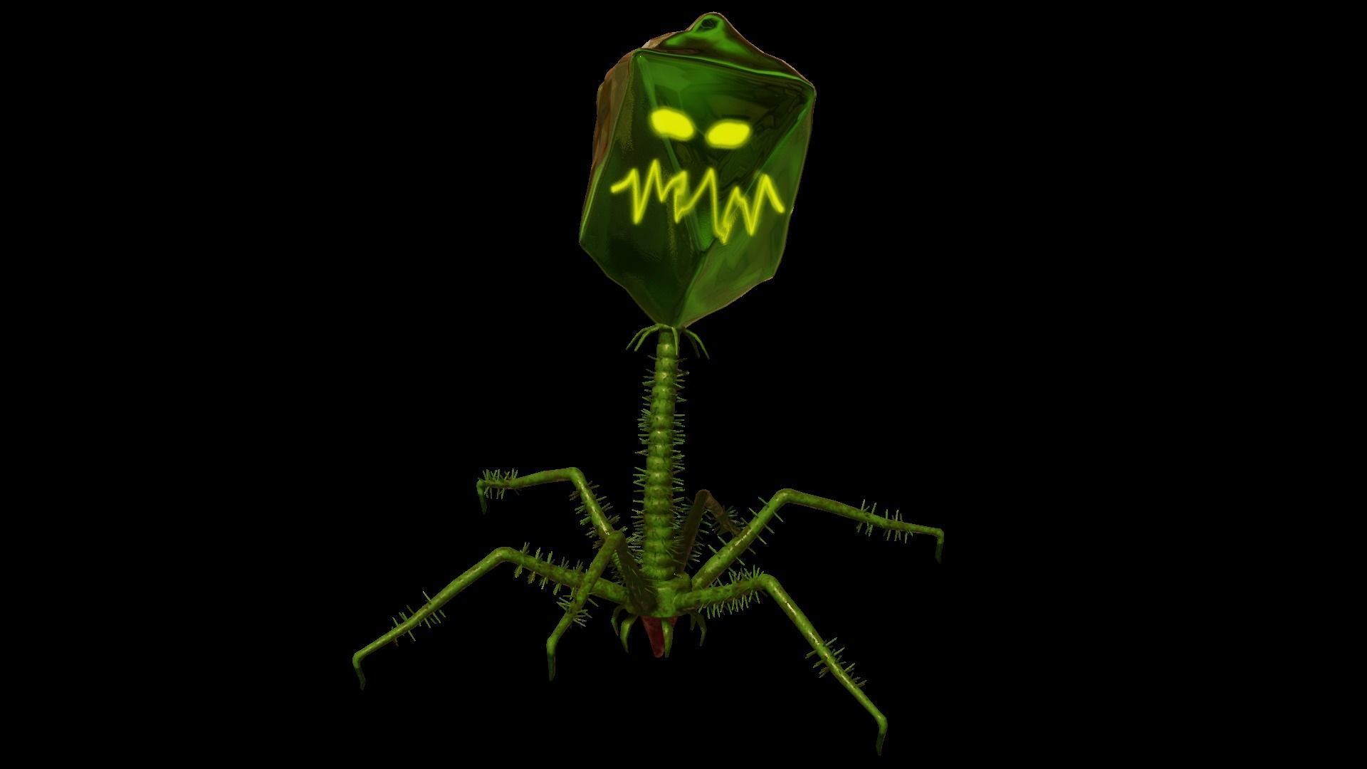 microbe 3 - bacteriophage Low-poly 3D model_4