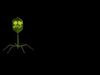 microbe 3 - bacteriophage Low-poly 3D model_1