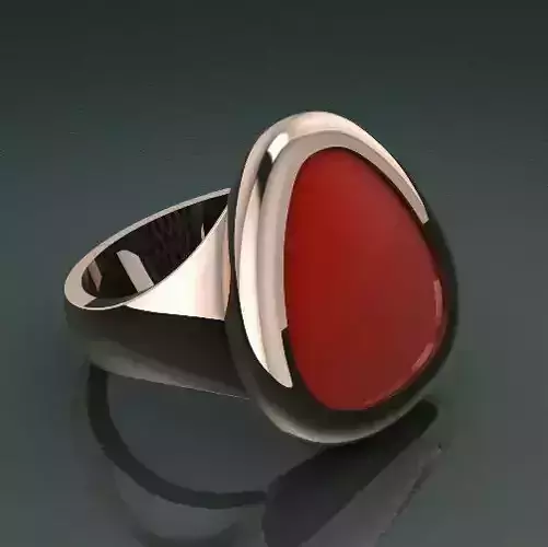 Ring Model 2618