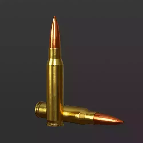 Bullet ammo