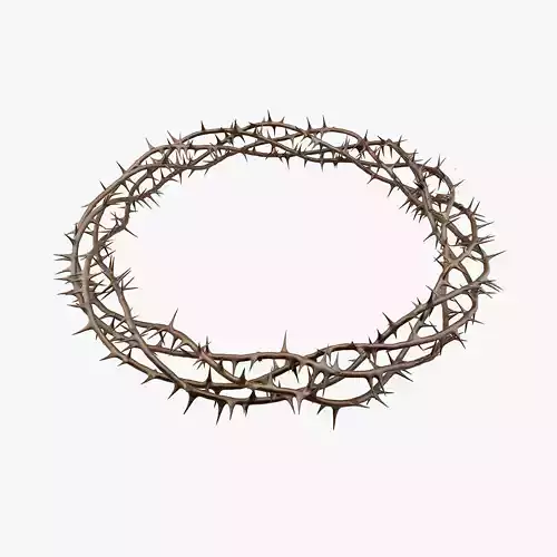 Crown Of Thorns 1