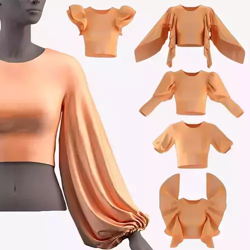 53 different sleeve   3D model