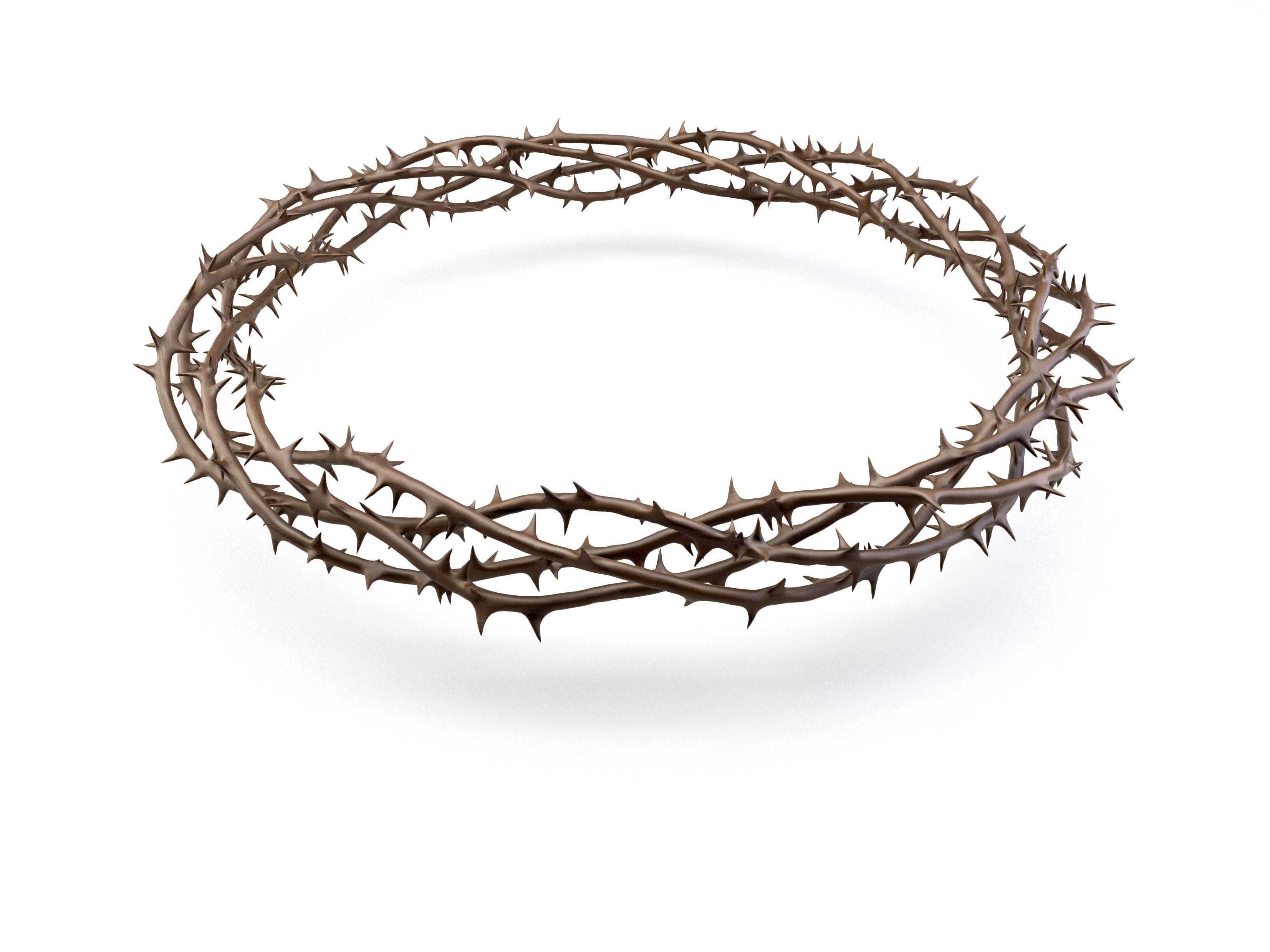 Crown Of Thorns 2 3D model_3