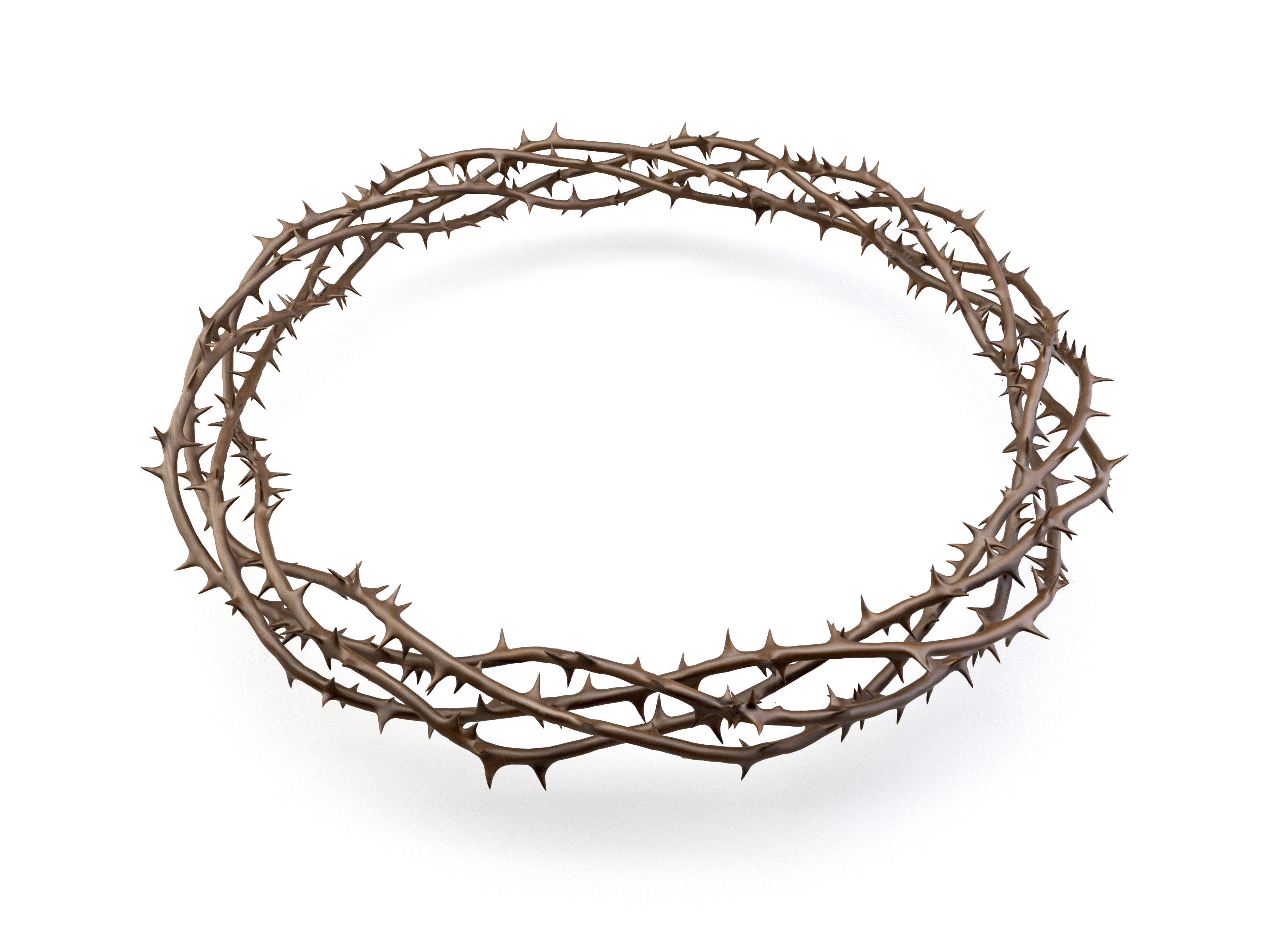 Crown Of Thorns 2 3D model_1