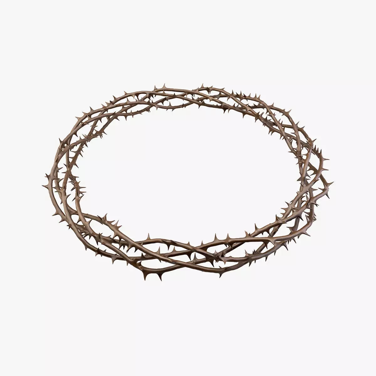 Crown Of Thorns 2 3D model_0