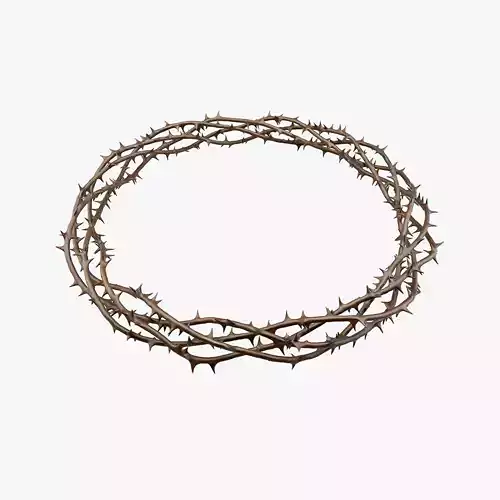 Crown Of Thorns 2