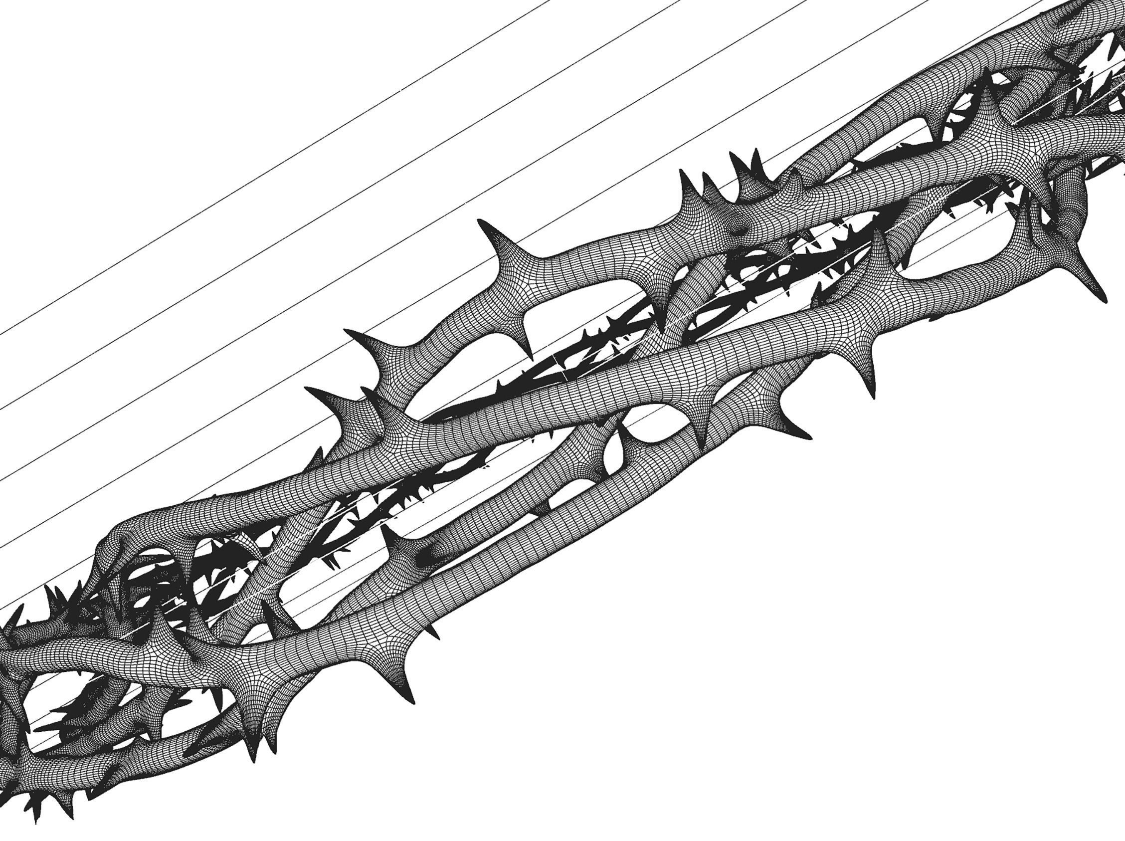Crown Of Thorns 2 3D model_4