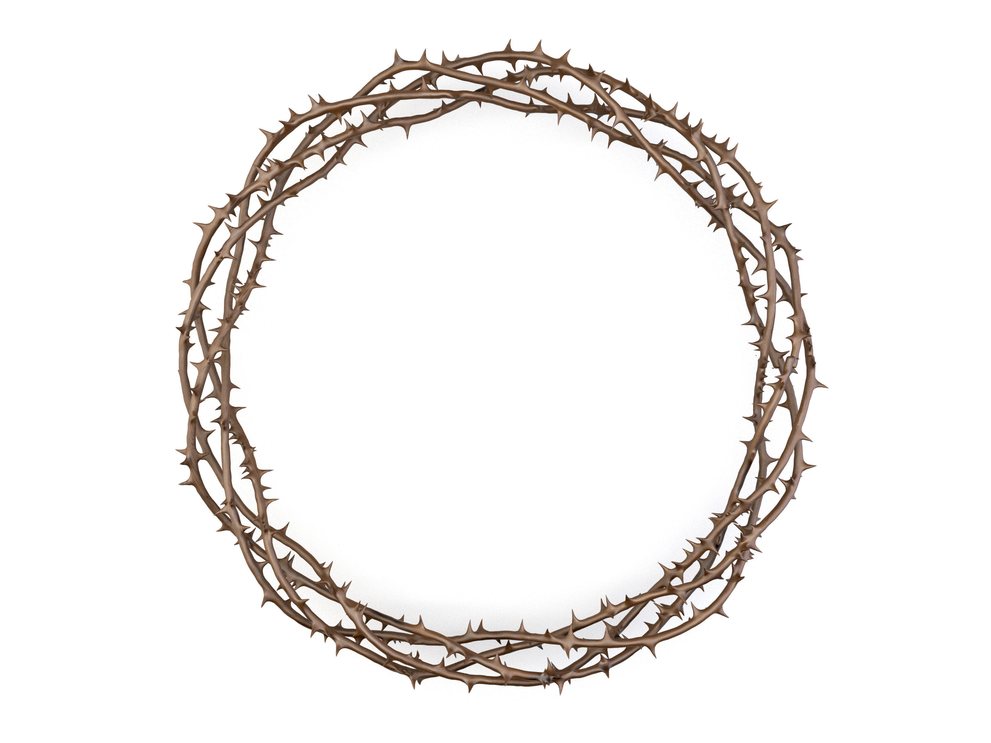 Crown Of Thorns 2 3D model_6