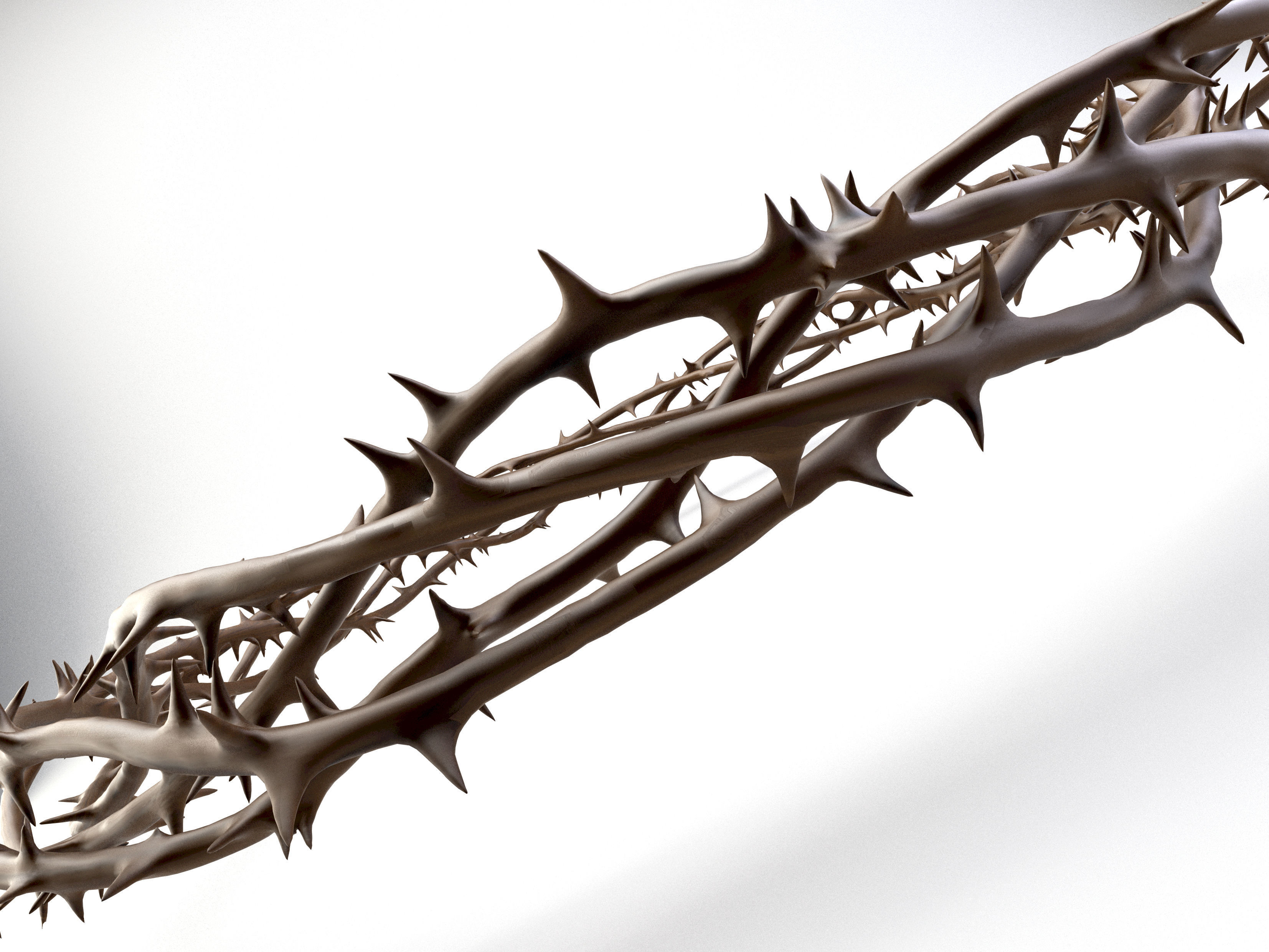 Crown Of Thorns 2 3D model_2