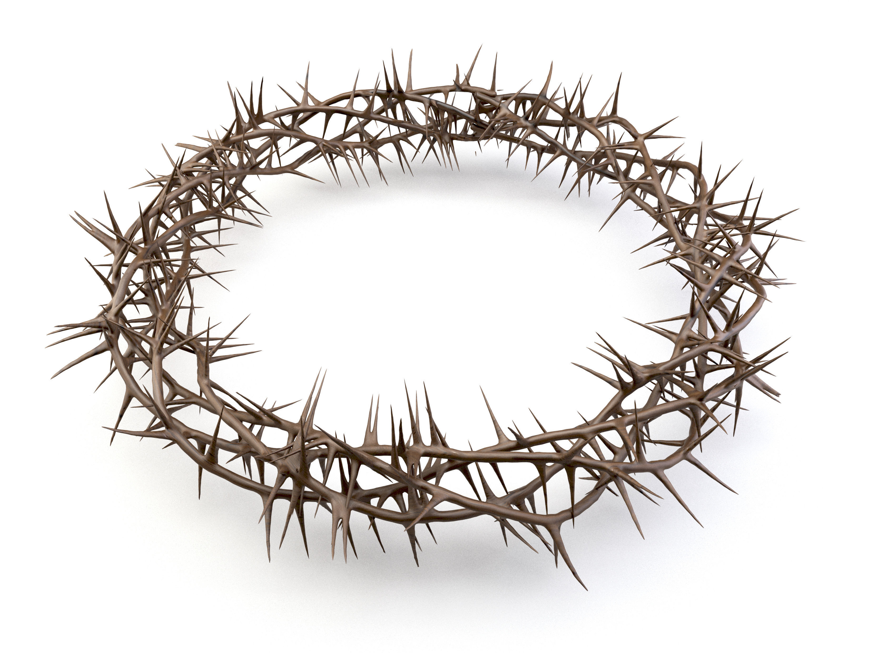 Crown Of Thorns 3 3D model_4