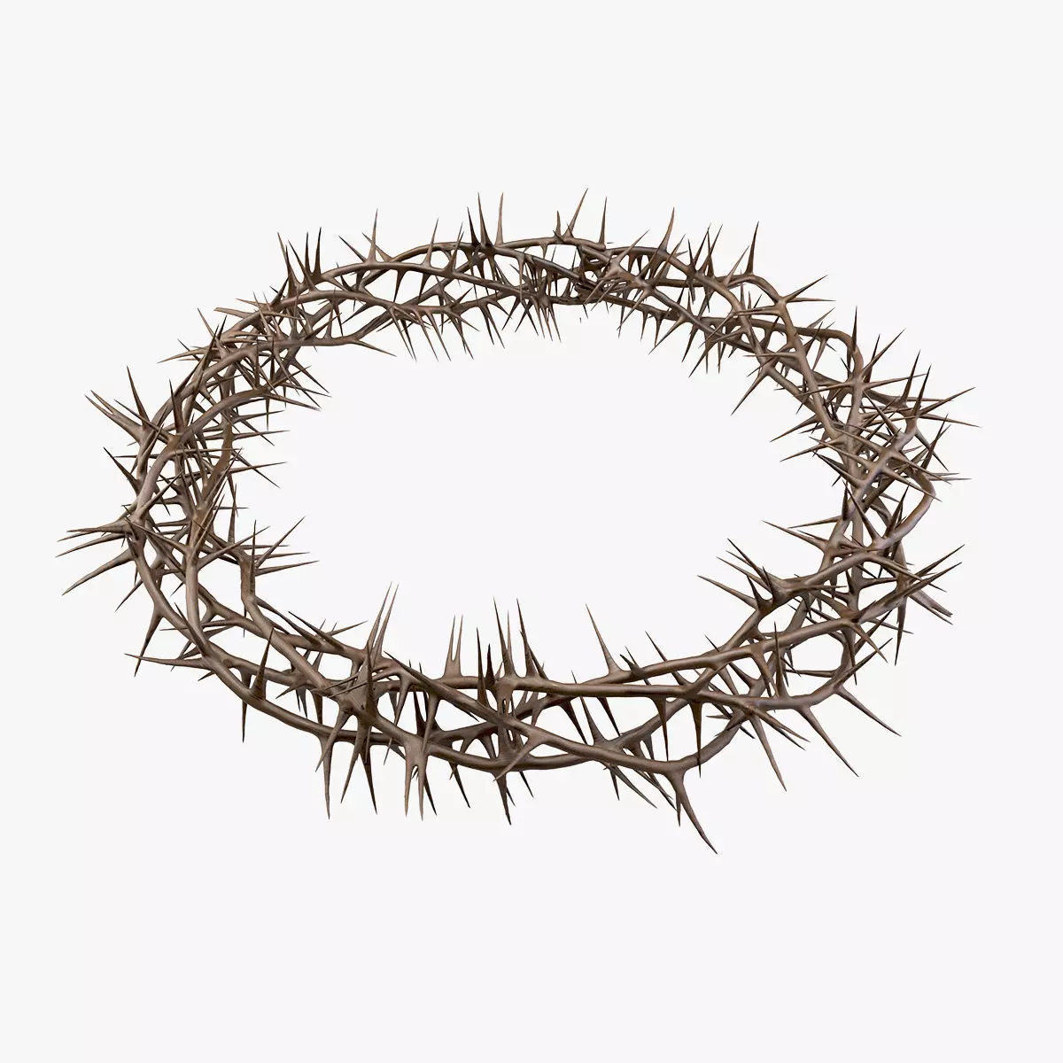 Crown Of Thorns 3 3D model_0