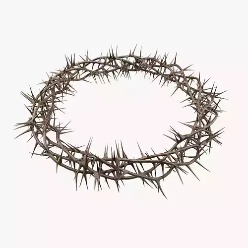 Crown Of Thorns 3