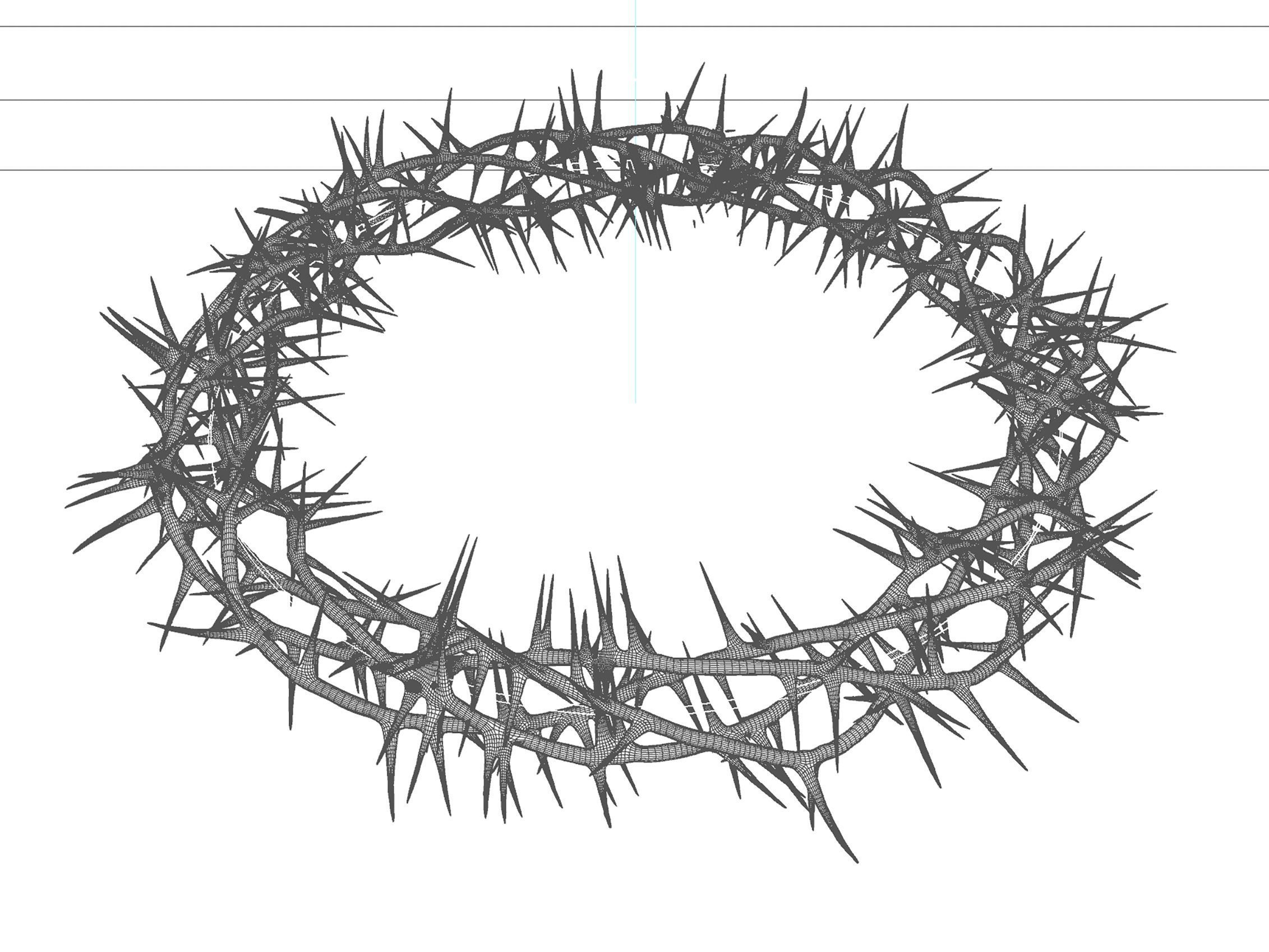 Crown Of Thorns 3 3D model_2