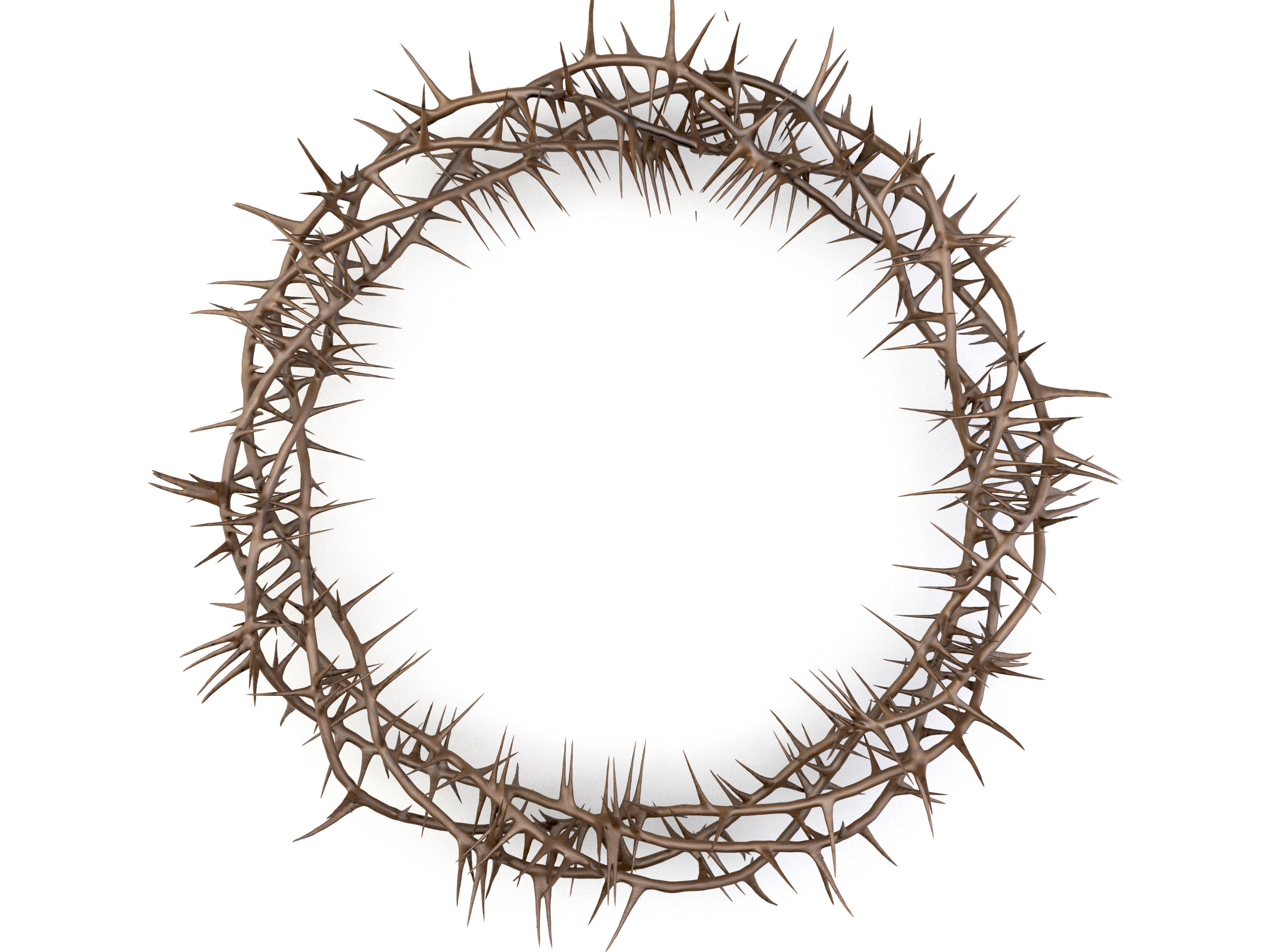 Crown Of Thorns 3 3D model_5