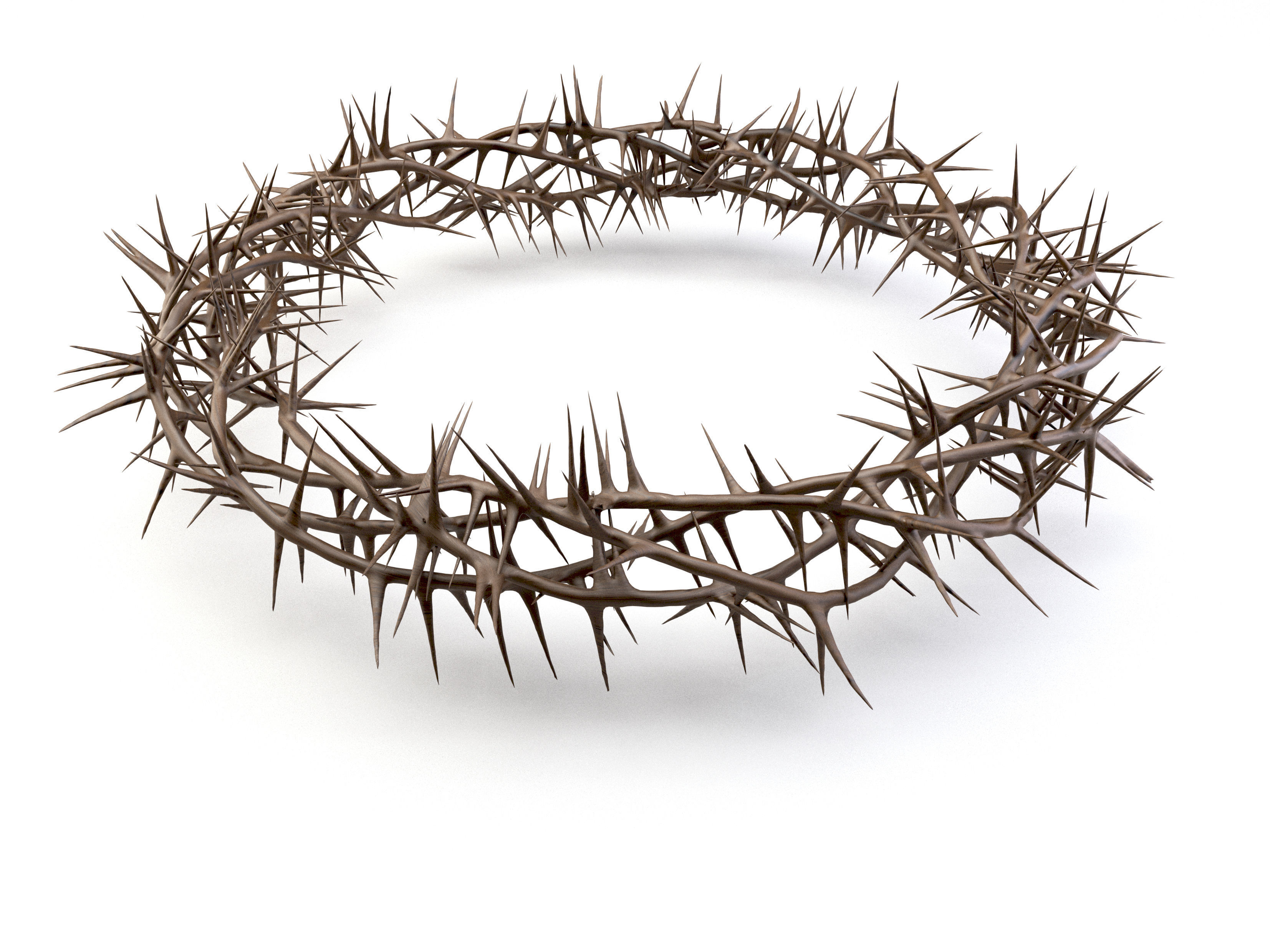 Crown Of Thorns 3 3D model_6