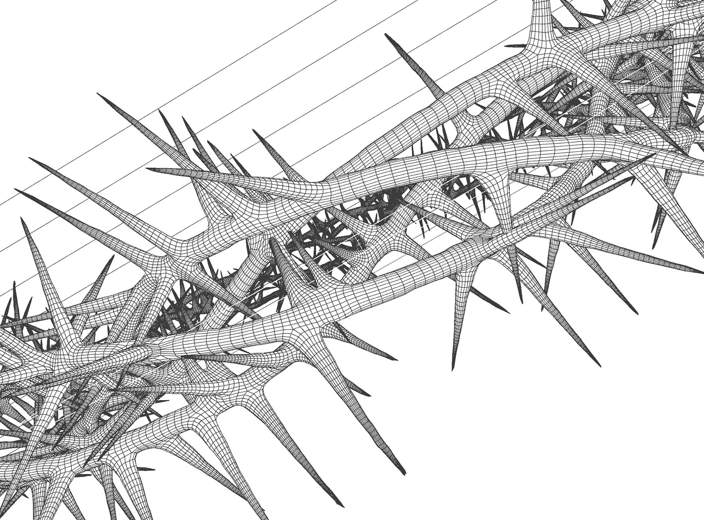 Crown Of Thorns 3 3D model_3