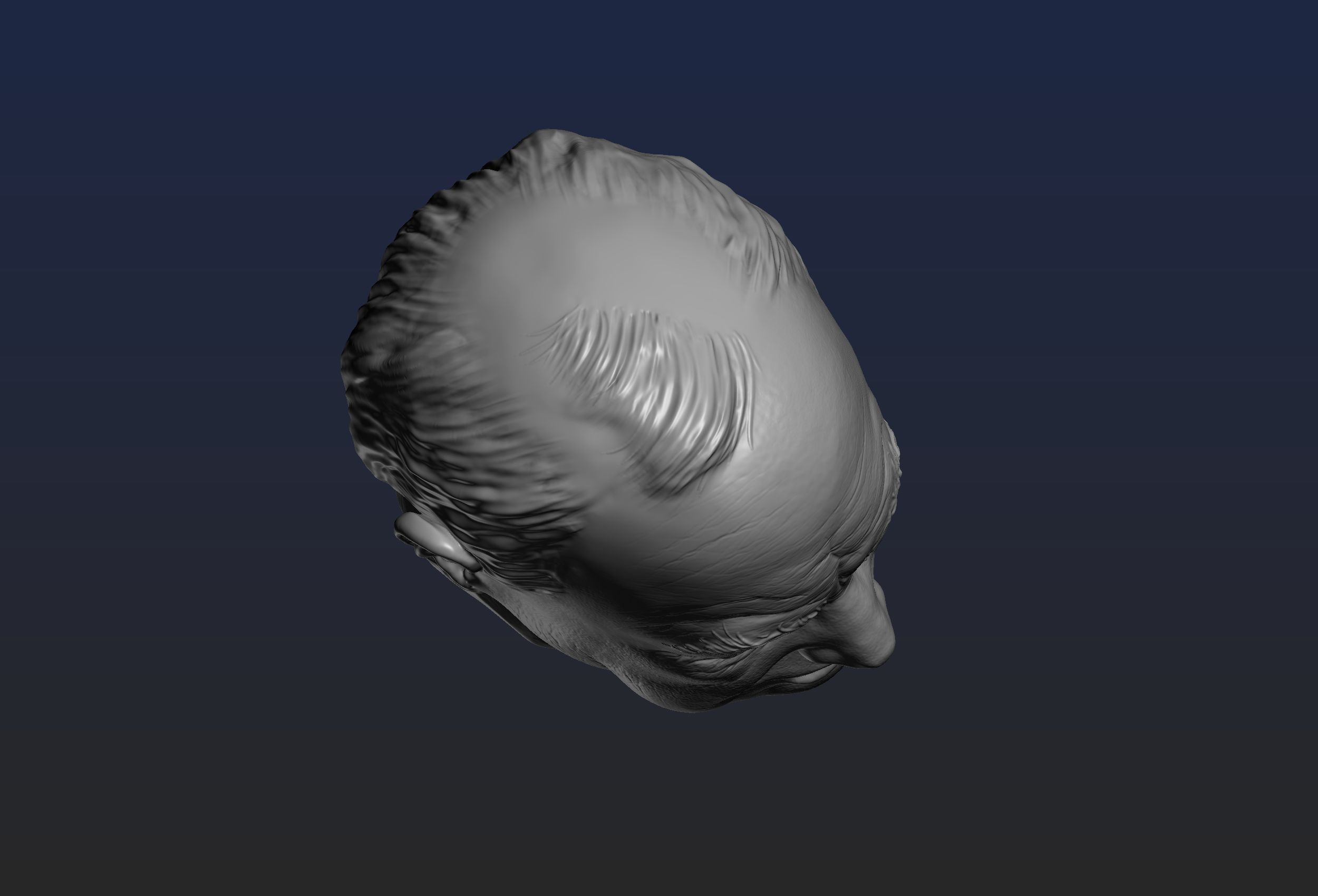 Churchill Head 3D print model_11