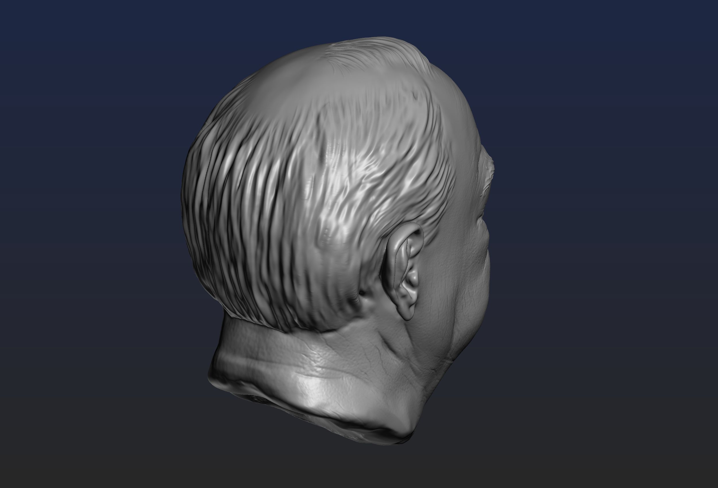 Churchill Head 3D print model_7