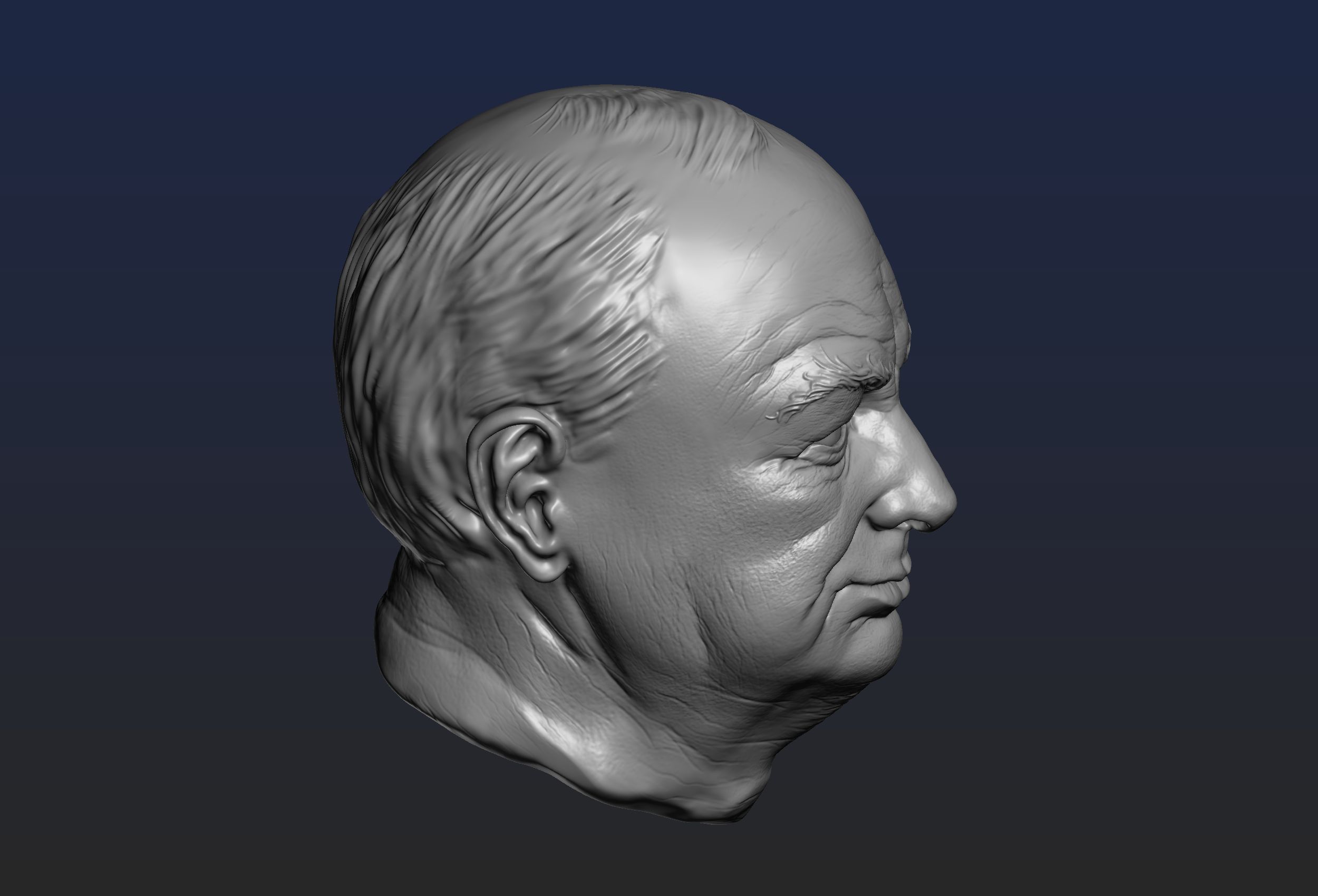 Churchill Head 3D print model_8