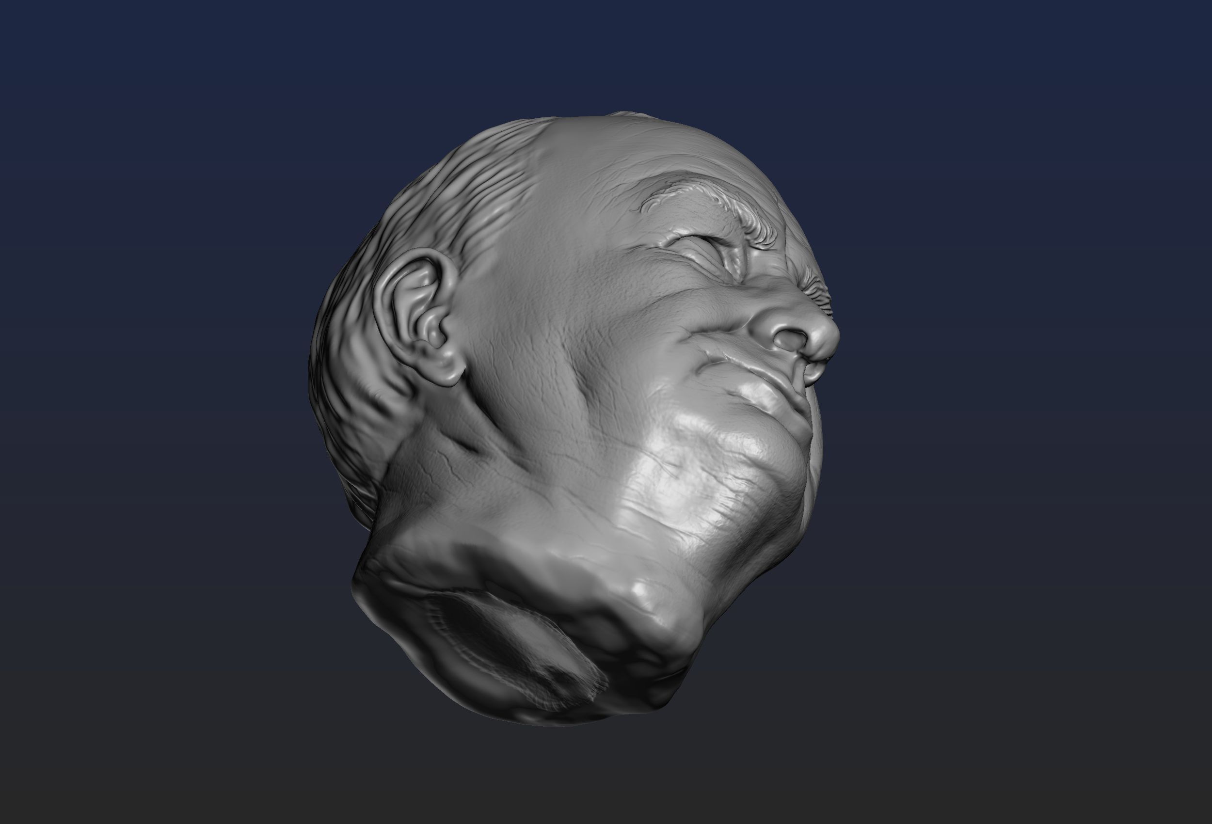 Churchill Head 3D print model_12