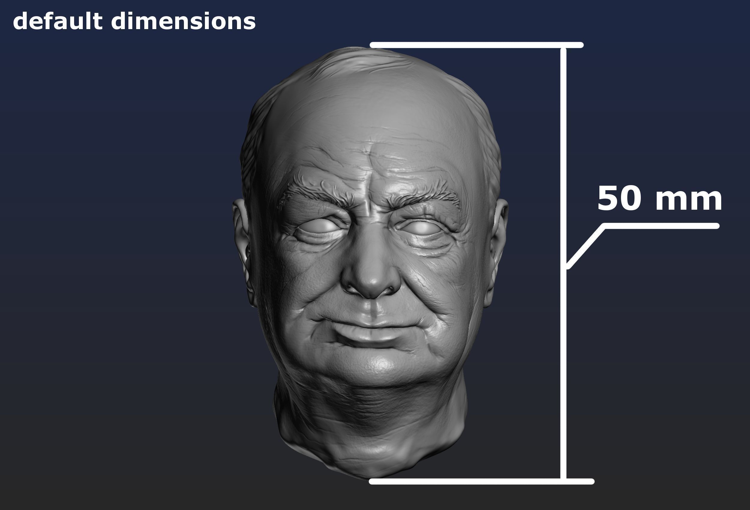 Churchill Head 3D print model_20