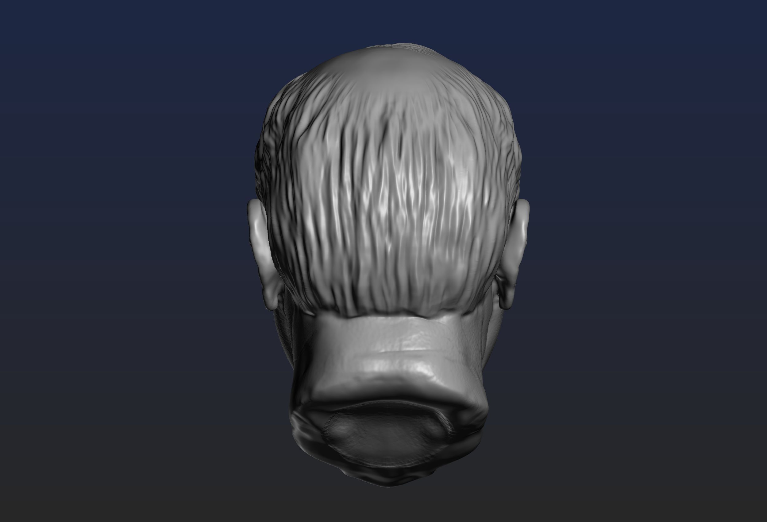 Churchill Head 3D print model_15