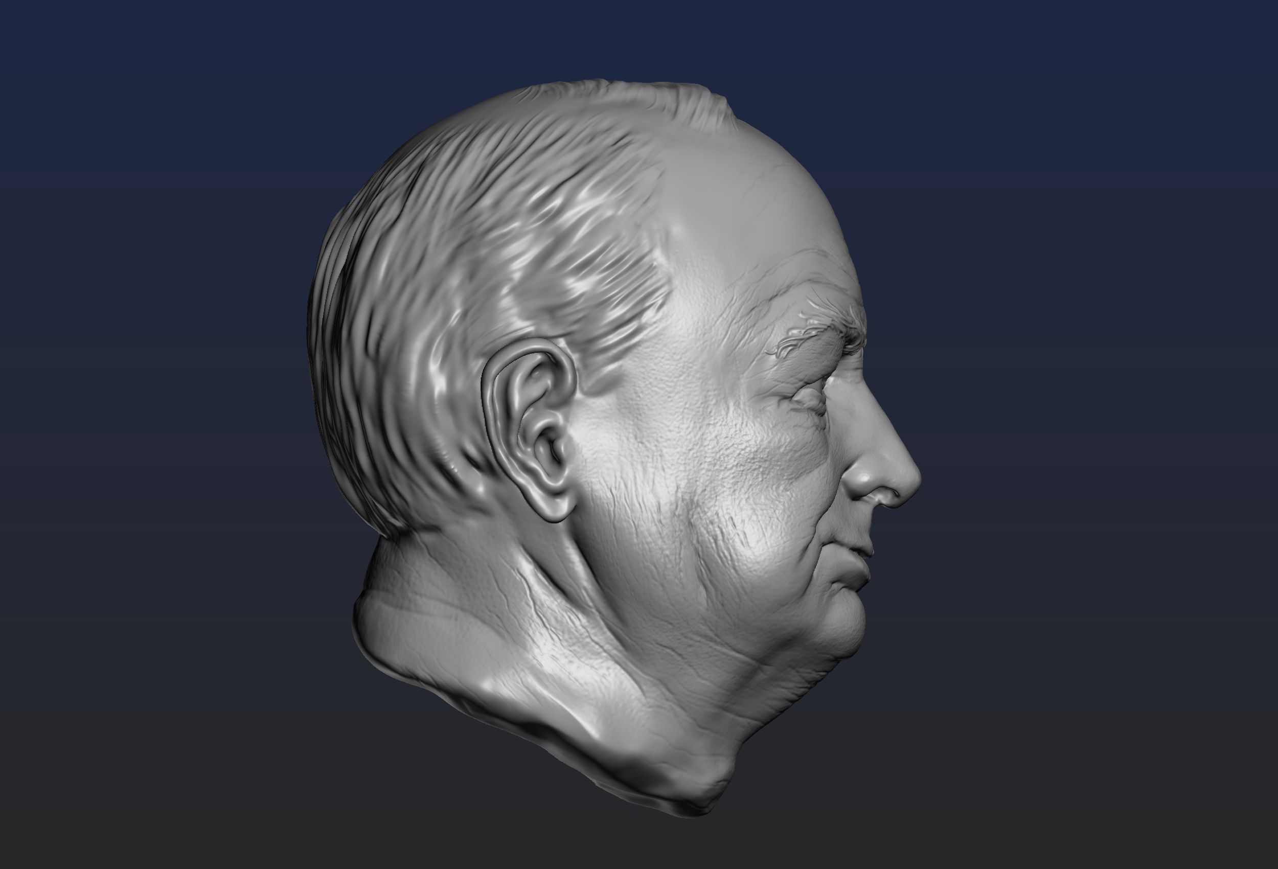 Churchill Head 3D print model_16