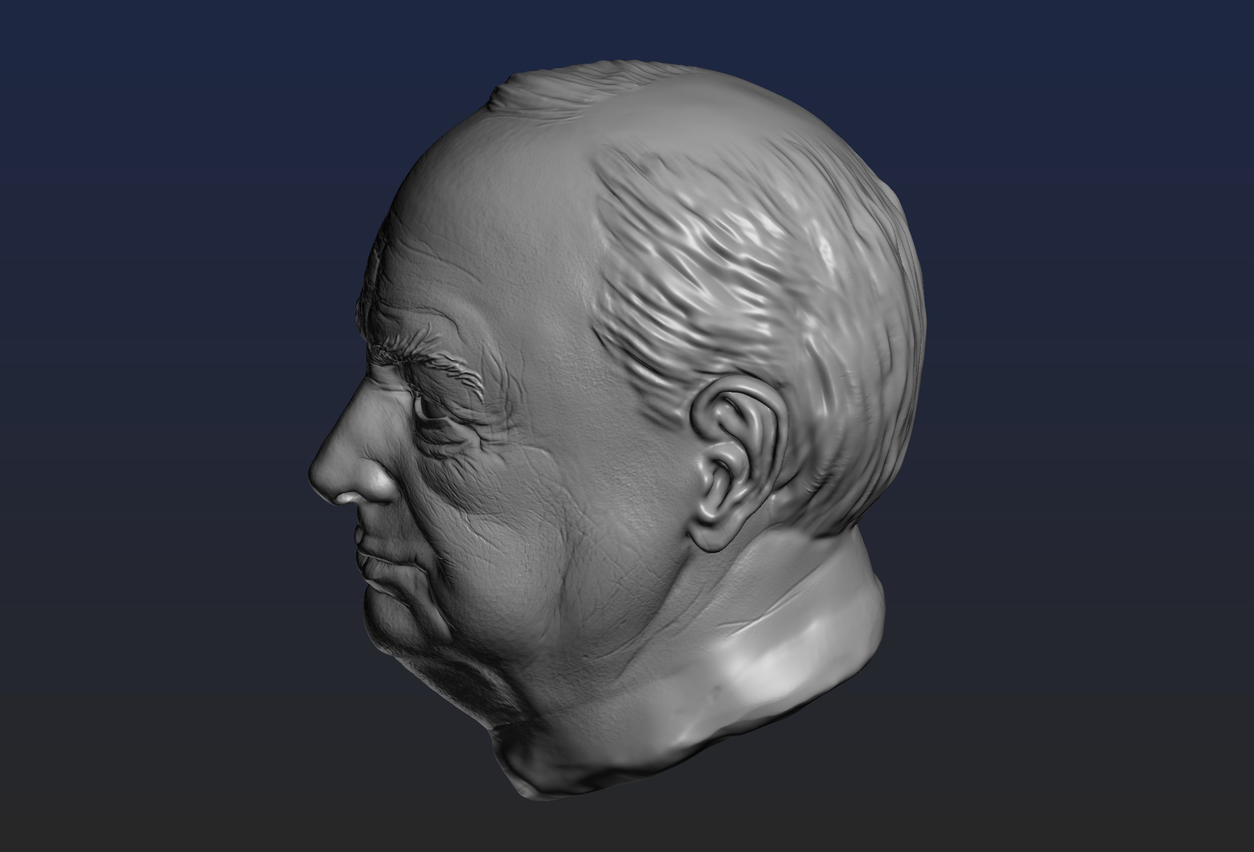 Churchill Head 3D print model_5
