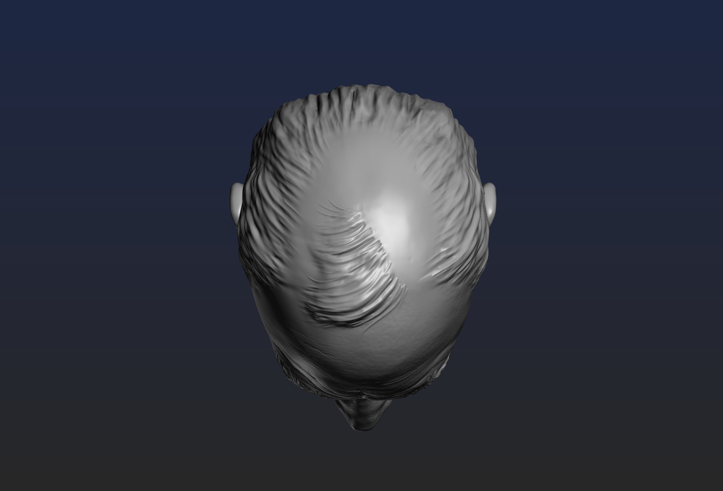 Churchill Head 3D print model_17