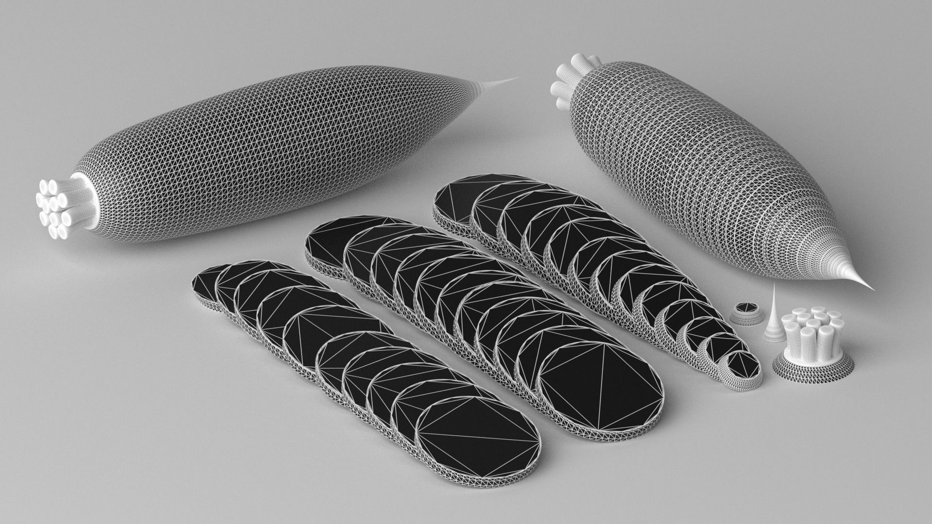 Cartoon White Radish and Slice Low-poly 3D model_9