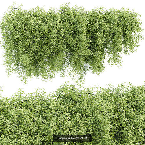 Hanging wall creeper plants collection vol 8 3D Model Pack 4
