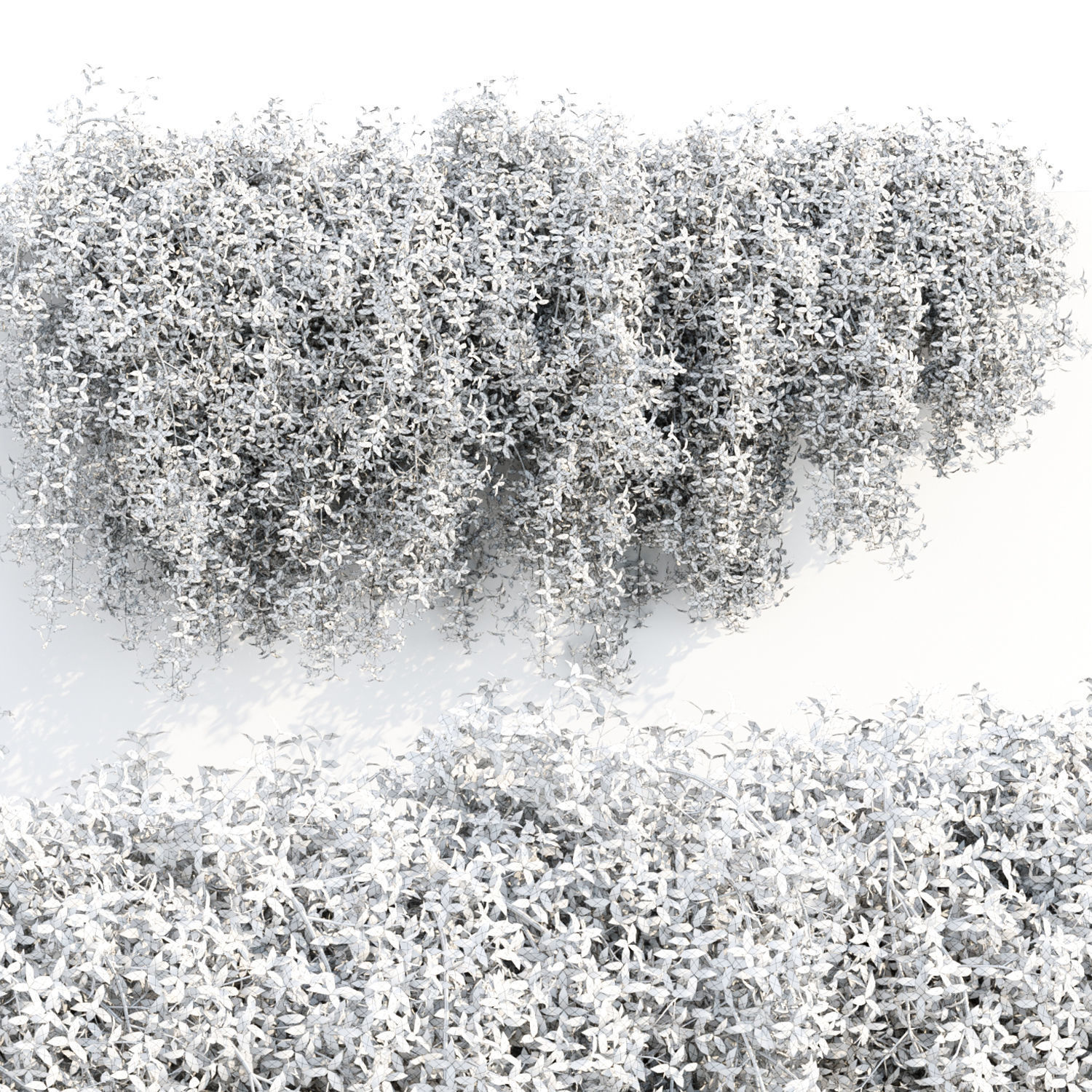 Hanging wall creeper plants collection vol 8 _16