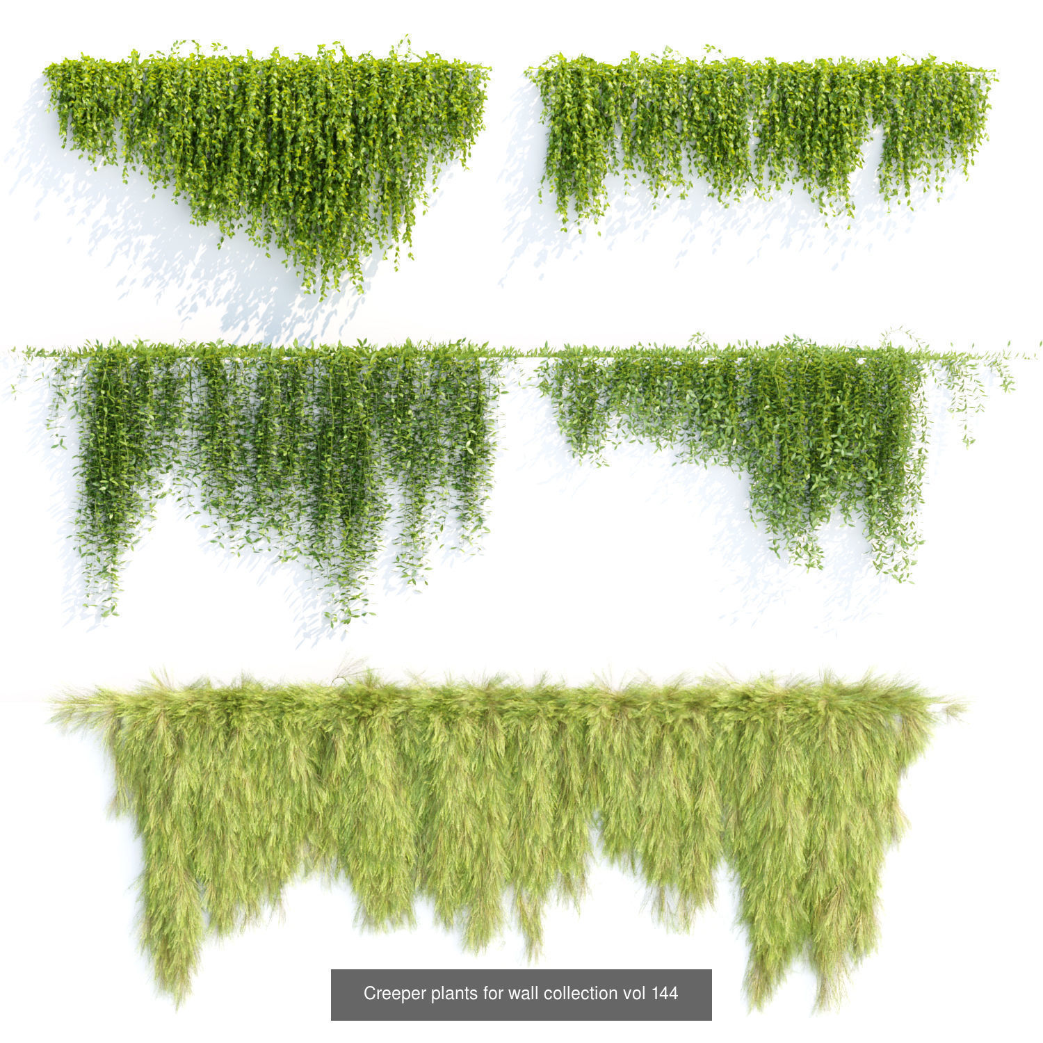 Hanging wall creeper plants collection vol 8 _2