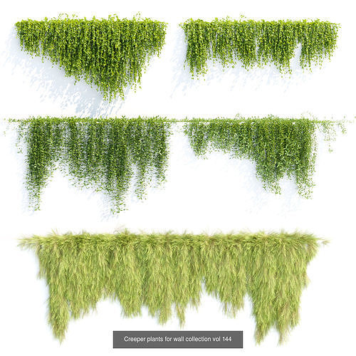 Hanging wall creeper plants collection vol 8 3D Model Pack 3