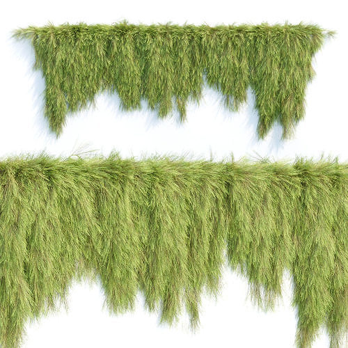 Hanging wall creeper plants collection vol 8 3D Model Pack 5