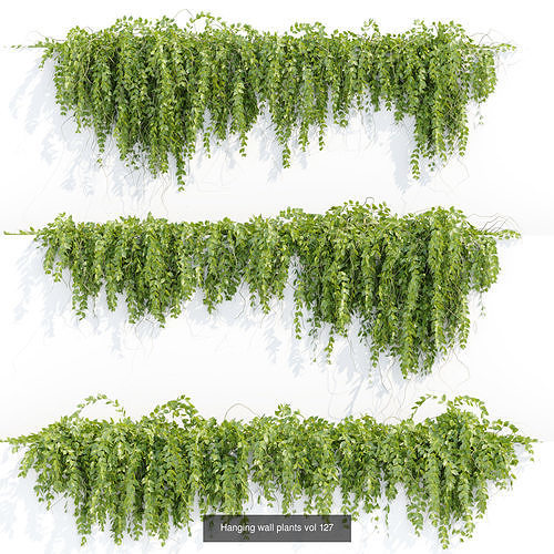 Hanging wall creeper plants collection vol 8 3D Model Pack 2