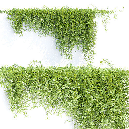 Hanging wall creeper plants collection vol 8 3D Model Pack 6