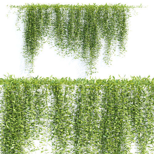 Hanging wall creeper plants collection vol 8 3D Model Pack 7