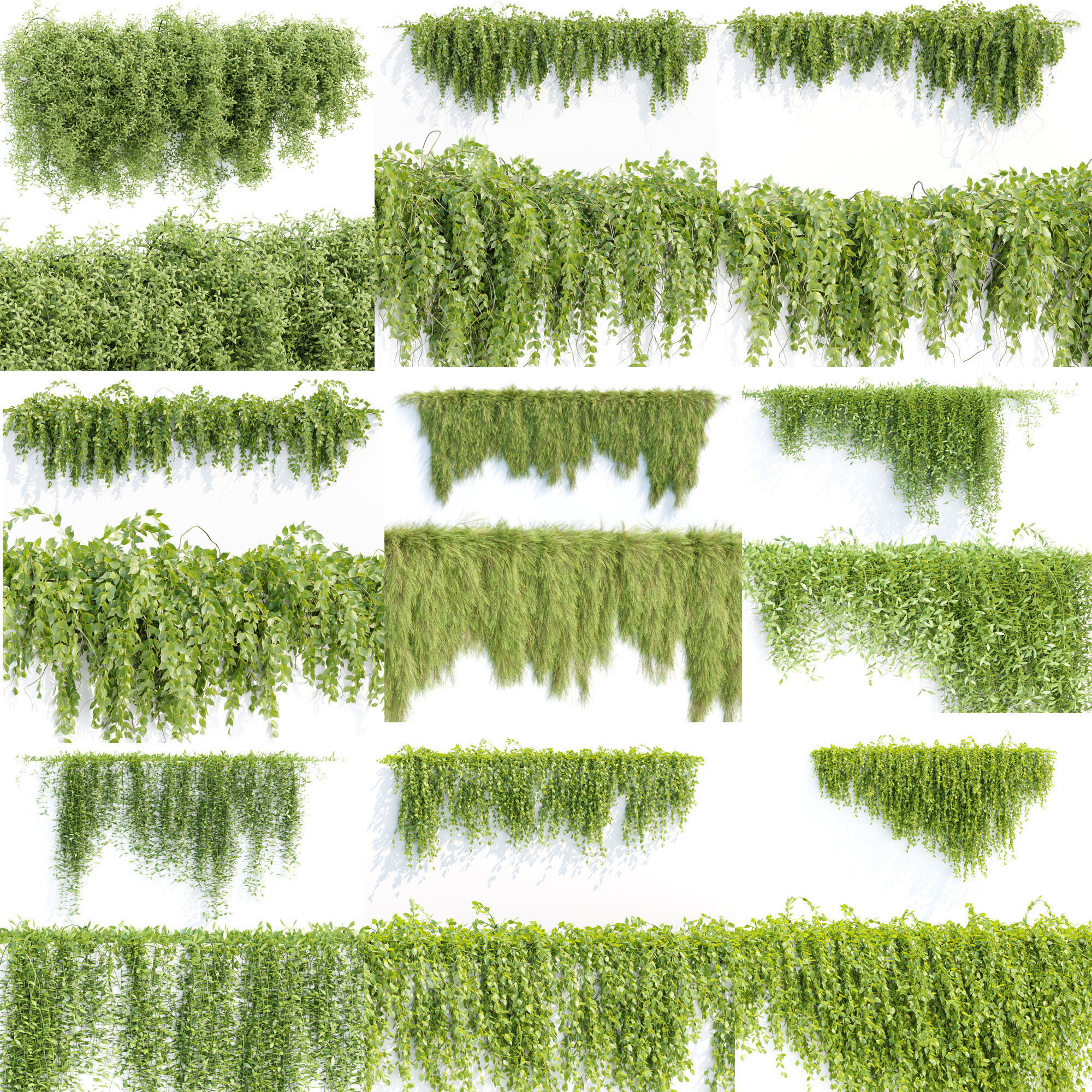 Hanging wall creeper plants collection vol 8 _0