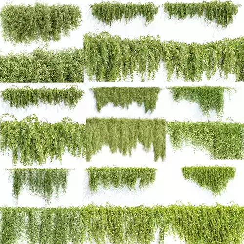 Hanging wall creeper plants collection vol 8 