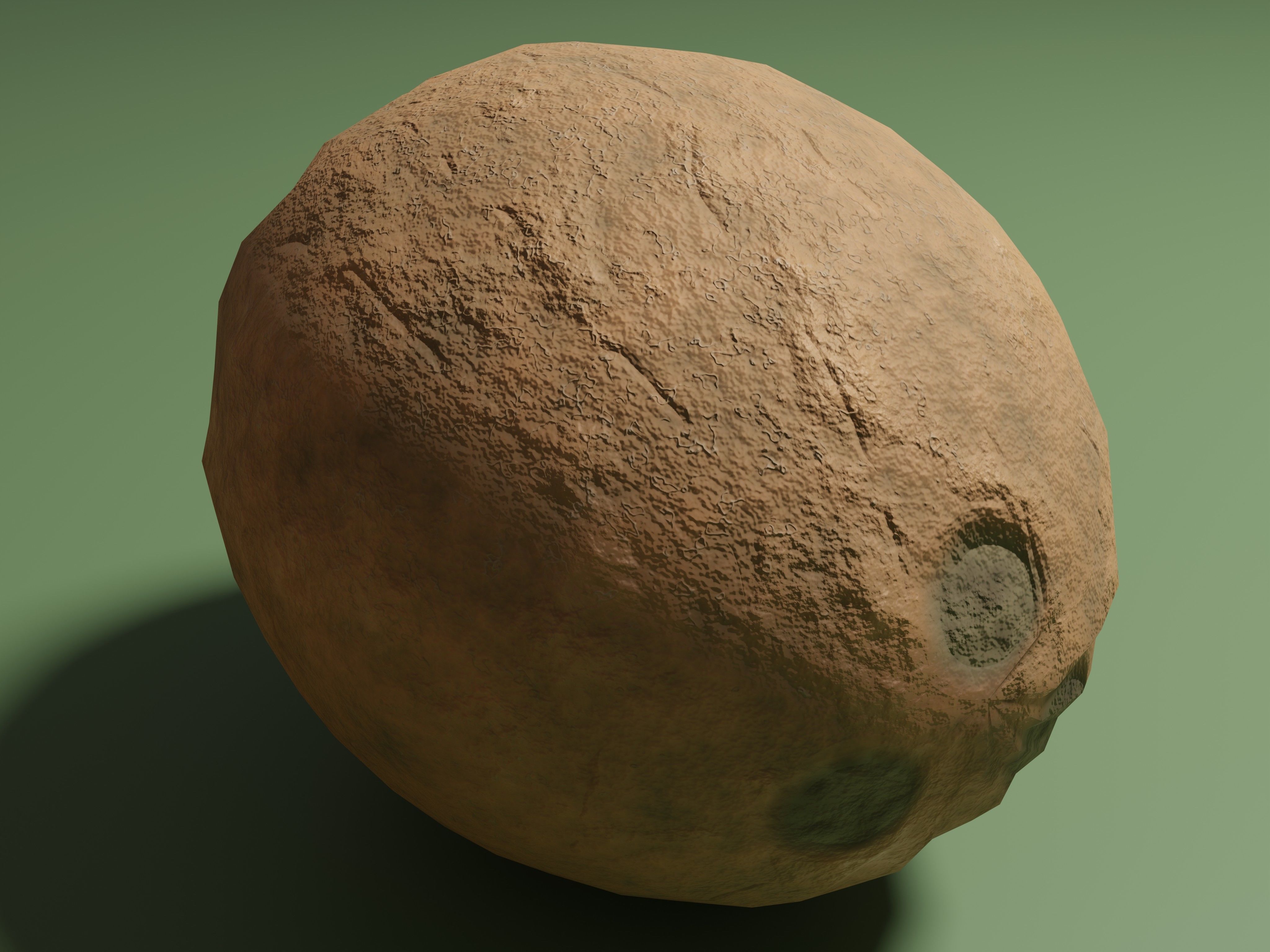 Coconuts - whole and half coconut Low-poly 3D model_2