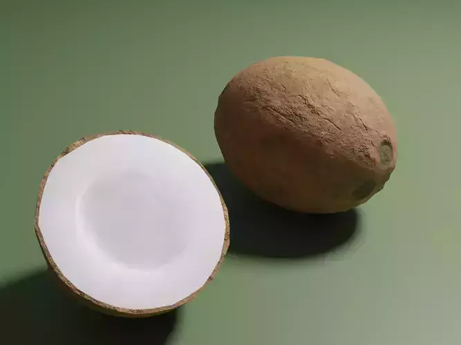 Coconuts - whole and half coconut Low-poly 3D model
